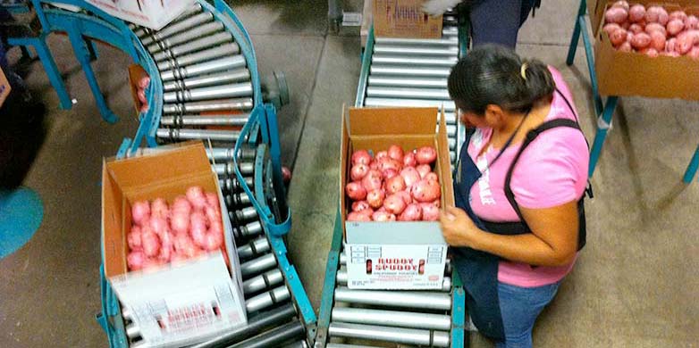Zuckerman Potato Safety