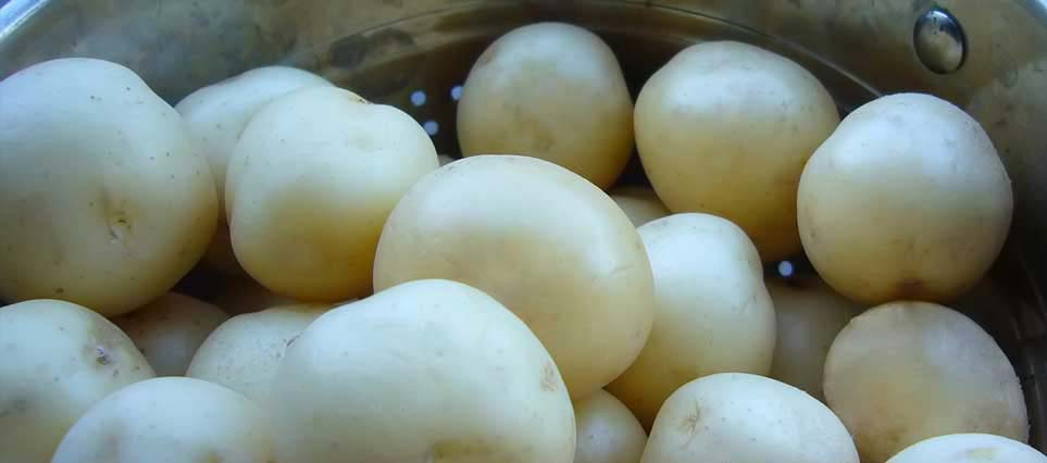Bella Blanca Potatoes