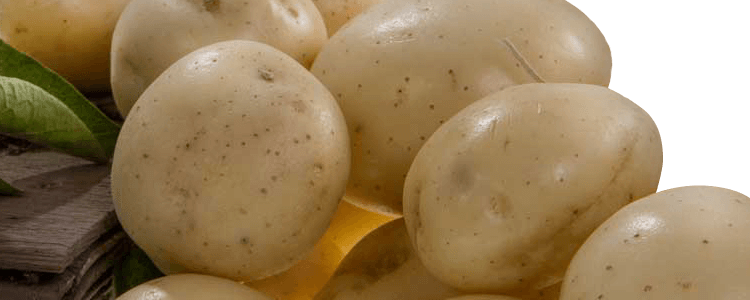 Yellow Potatoes